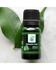 Pimento Leaf 100% Pure Essential Oil