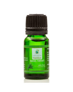 Basil Sweet 100% Pure Essential Oil 