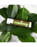 Lip Balm (100% Natural) - Melissa Medicated