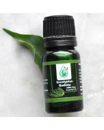 Eucalyptus Radiata 100% Pure Essential Oil 