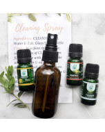 Kitchen & Carpet Cleaning Kit