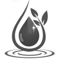 Bulk 2oz Glass Bottle with Spray Nozzle 