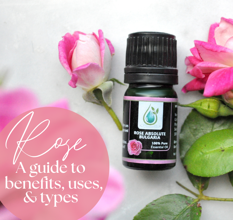 A Rose by Any Other Name: Comparing Rose Absolute, Rose Otto, Rose CO₂ & Rose Hydrosol